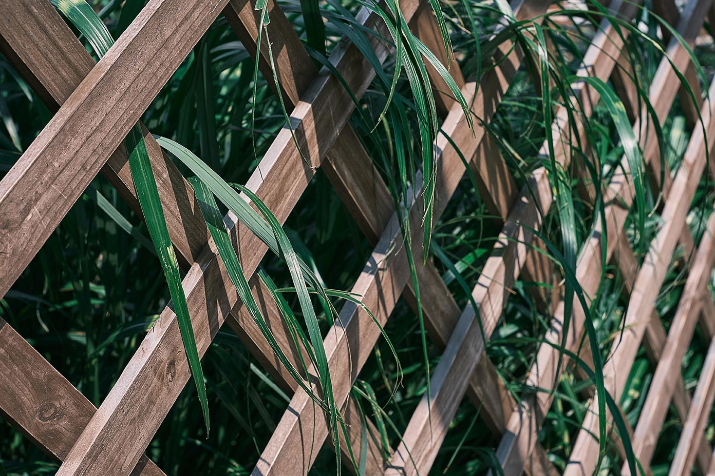 WOOD FENCING IN DENVER COLORADO